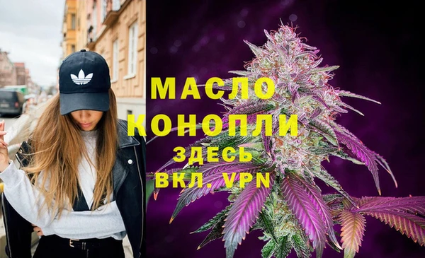 стаф Щигры