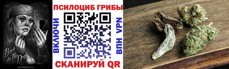 Галлюциногенные грибы MAGIC MUSHROOMS  Купить  Онега 